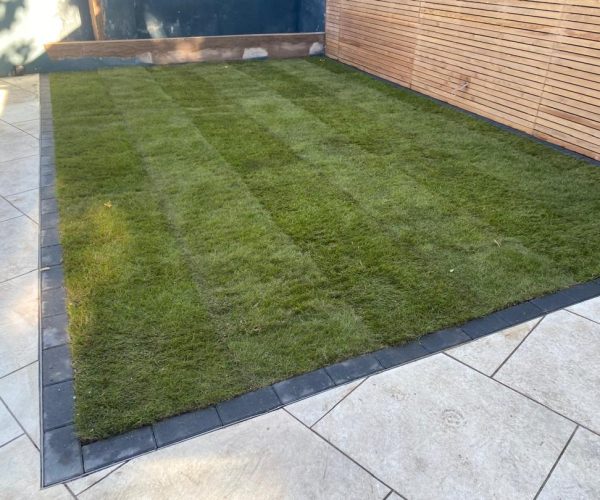 IMG-20250731-WA0003(1)